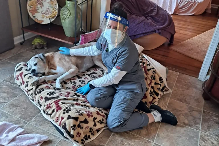 At your home Euthanasia